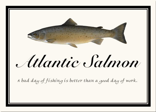 E_Table_Name_Atlantic_Salmon